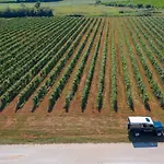 Roxanich Winery And Design