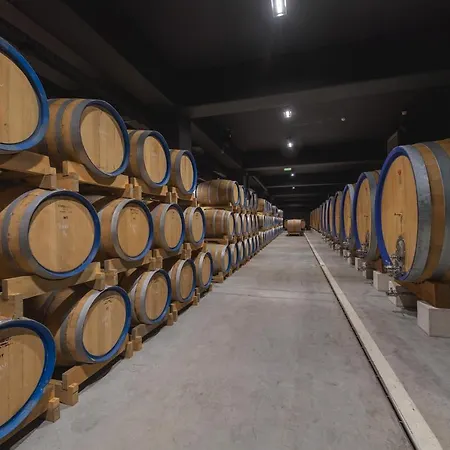Winery & Design Roxanich Hotel Motovun