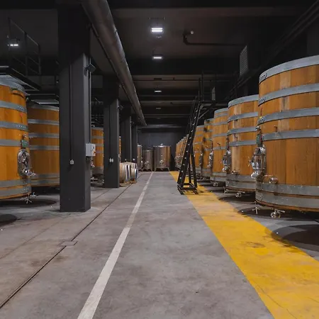 Hotel Winery & Design Roxanich 4*