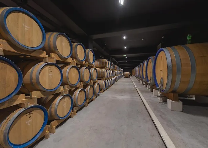 Roxanich Winery And Design Hotel Hotel Motovun