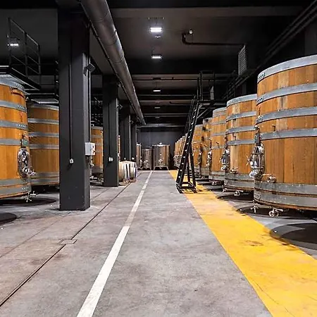 Roxanich Winery And Design Hotel Motovun