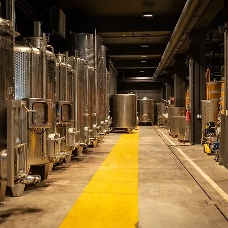 Roxanich Winery And Design Motovun