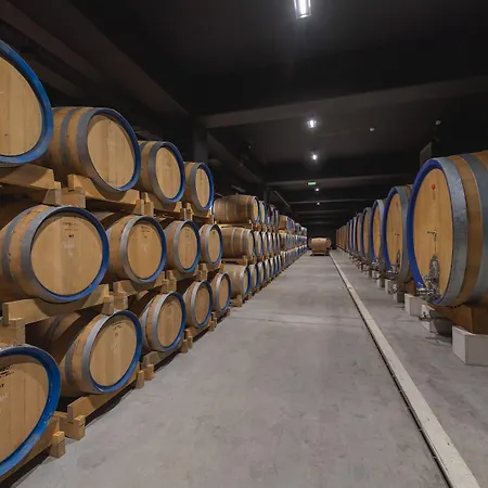 Roxanich Winery And Design