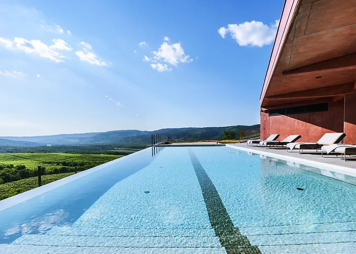 Winery & Design Roxanich 호텔 4*